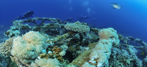 <span style="color:white">Video</span>